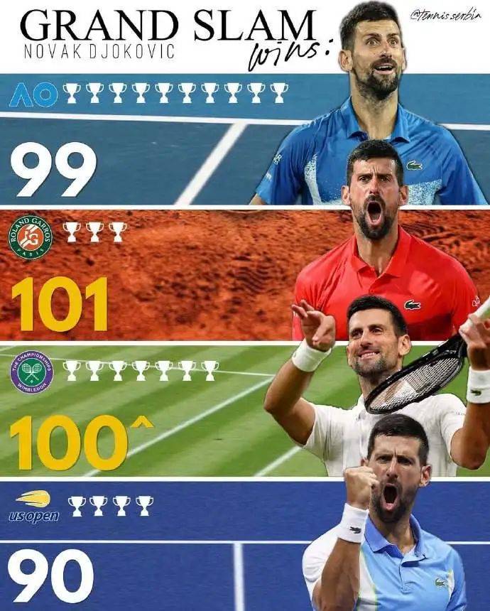 戴维斯杯绝杀法网，德约科维奇统治全场的简单介绍